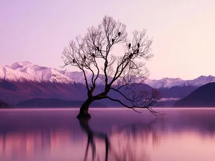 Synchronicity: Acausal Abundance (IT Live Recording)