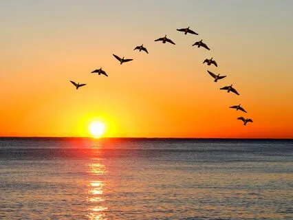 Synchronicity: Manifesting Abundance