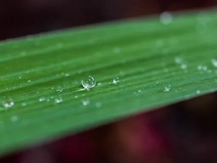 Synchronicity Meditation Music With Thunderstorm Sounds