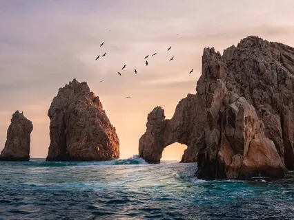 Synchronistic Beauty