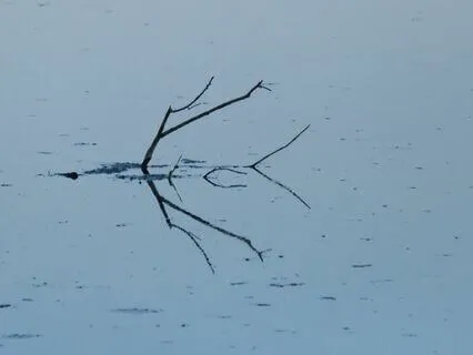 Synchronization For Creative Inspiration