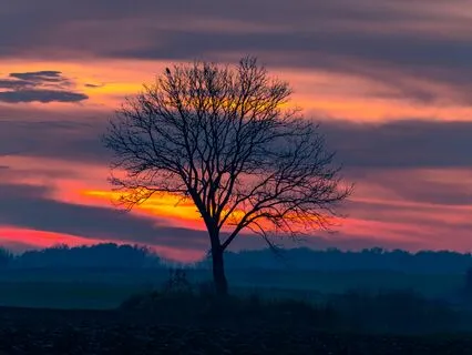 Syncing Your Brain With Lambda Waves & Isochronic Tones (8D)