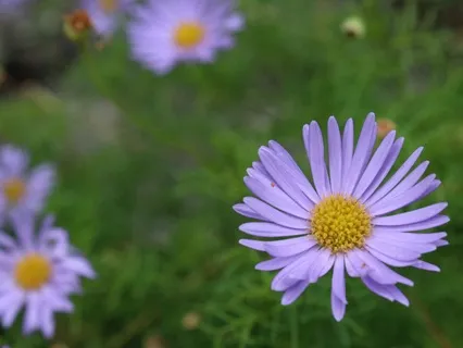 Systematic Relaxation For Releasing Tension