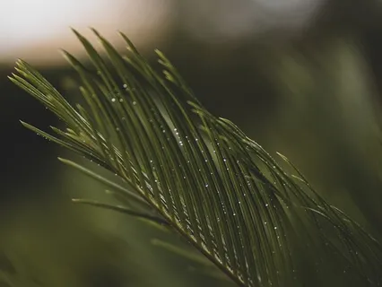 Tackling My To-Do List 