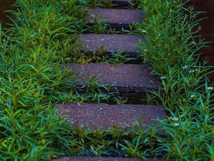 Tactical Or Box Breathing