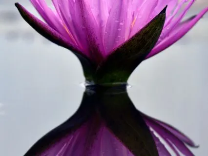 Tai Chi Music To Reach for Inner Peace.