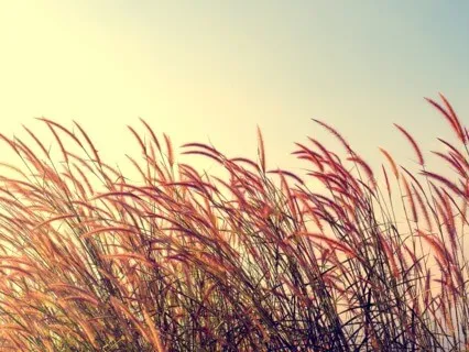 Take 2 To Notice Thoughts 