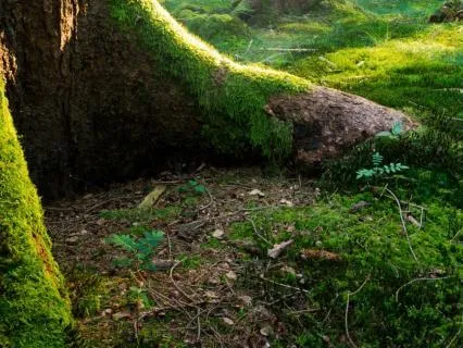 Take 5 And Thrive Series: 5 Min Crystal Grounding Reset