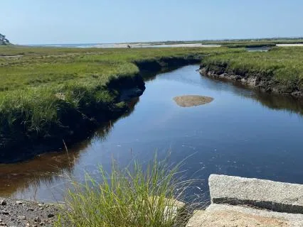 Take 5 Minutes To "Re-Lax"