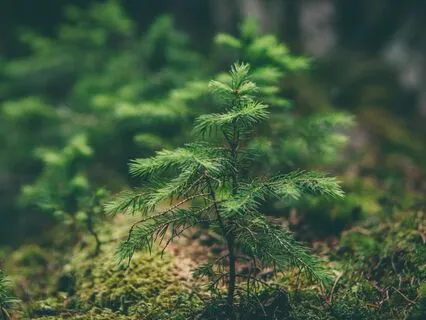 Take 5 to Get Grounded & Release Fear