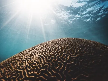 Take 6: Calm The Circuits 