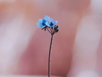 Take A 3X3 Micro-break To Reset The Mind, Heart and Body!