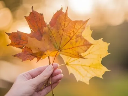 Take A 5 Minute Break - From Rain To Sunshine