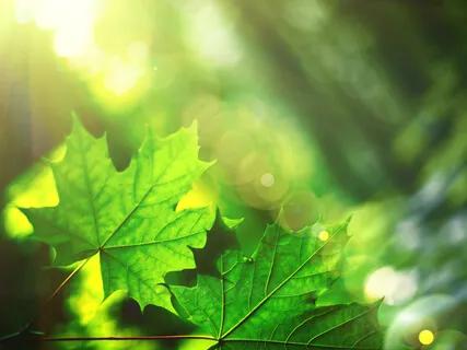 Take A 5 Minute Break - Stress Relief Music