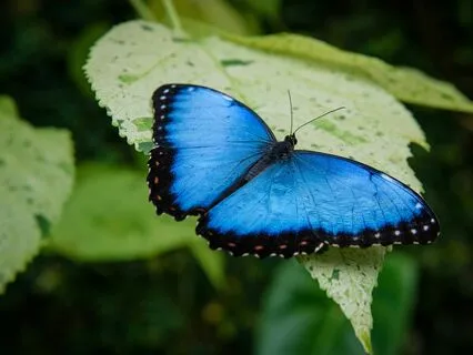 Take A Break - 10-Minute Mindfulness Practice To Re-Center