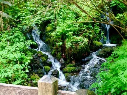 Take A Break | 5-Minute Stress Relief Music