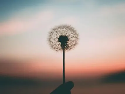 Take A Break: Find Peace