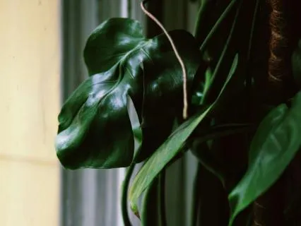 Take A Break From Stress