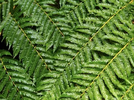 Take A Break: Reset The Brain And Body