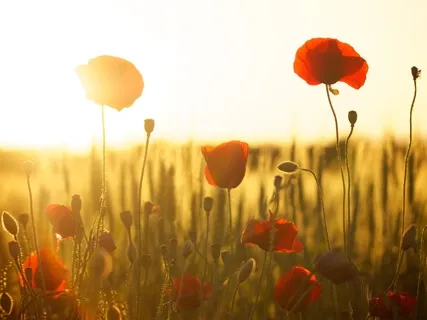 Take A Break – Short Piano Song To Unwind And Recharge