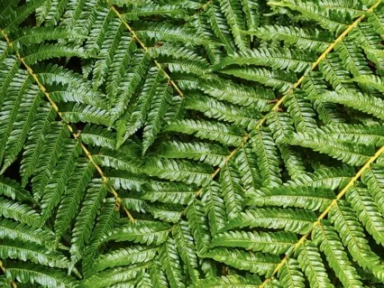 Take A Break: Stay Motivated