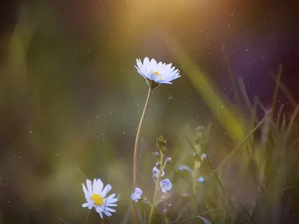 Take A Breath - 2 Minutes