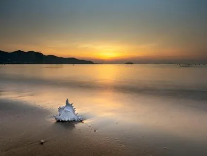 Take A Breath: A Moment Of Relaxation