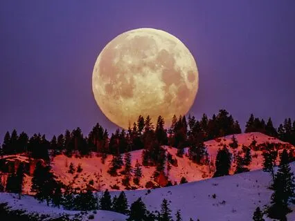 Take a Breath: Deeply Relaxing Nature