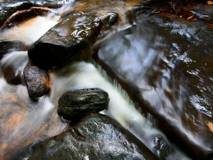 Take A Fresh Glimpse And Adapt