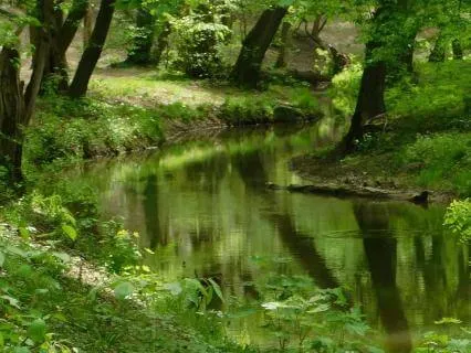 Take A Gentle Pause In Nature - Self Care Reminders