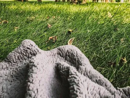 Take A Journey And Explore Your Senses