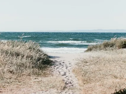 Take A Mental Vacation With The Five Senses