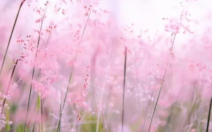 Take A Mental Vacation