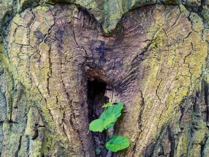 Take A Moment To Nurture