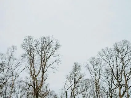 Take A Quick Break | 5 Minutes