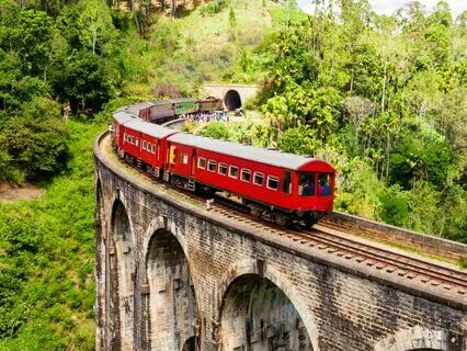 Take A Train Ride Through Indian Jungle 2 Hour Ambience