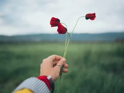 Take A Walk In The Garden Of Your Inner Peace