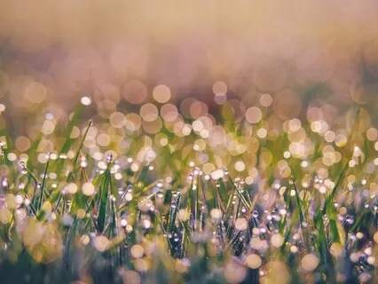 Take Care Of Yourself