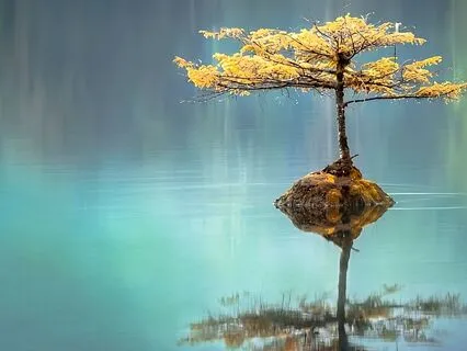 Take Care Of Yourself