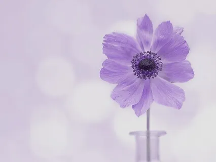 Take Charge Of Your Tinnitus & Silence Its Grip On Your Life!