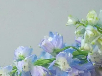 Take Five: Tune Into Your Senses & The Present Moment