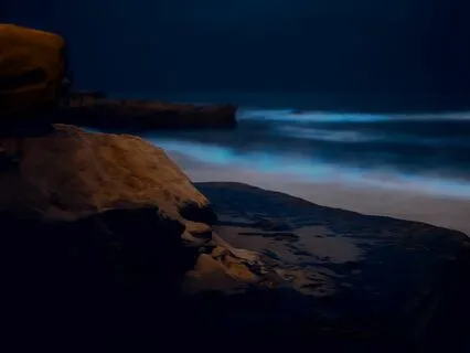 Take it Easy | Guided Sleep Meditation