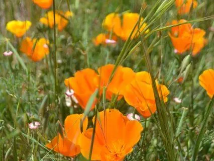 Meditation To Feel Grounded And Energized