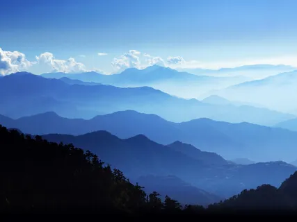 Refuge In Nature For Overwhelm & Hard Times