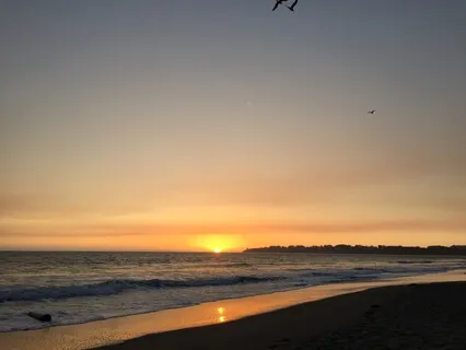 Take Refuge in This Moment