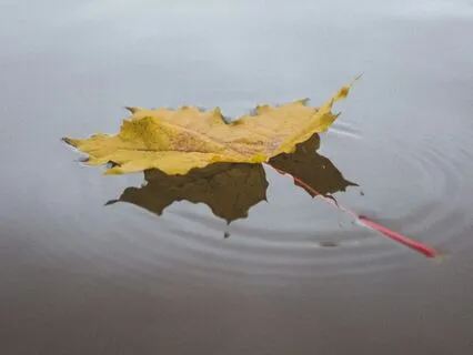 Take The Weight Off Your Mind