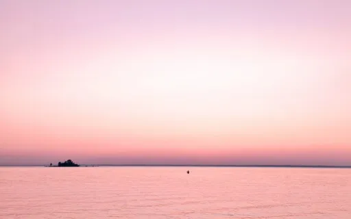 Take Two - For Body Gratitude