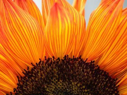 Take Your Power Back: 22 Boundary Affirmations