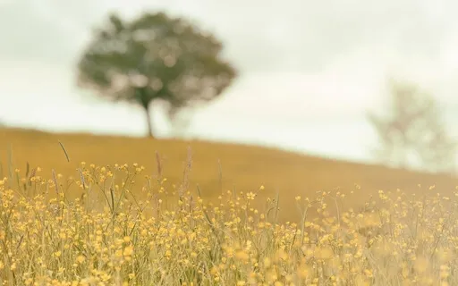 Take Your Power Back Affirmations