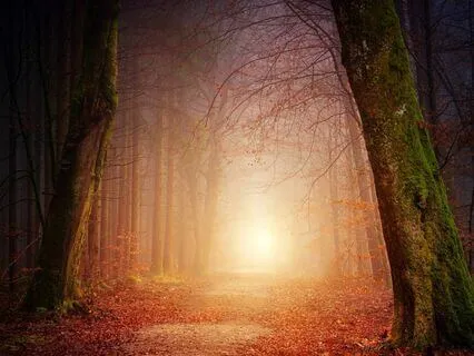 Take Your Power Back From Them! Shamanic Healing